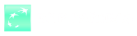 bnp paribas